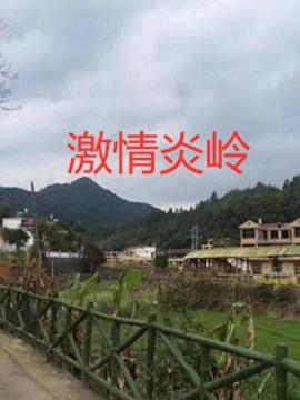 激情炎岭全集