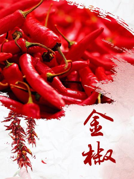 金椒全集