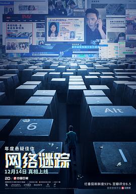 网络谜踪全集