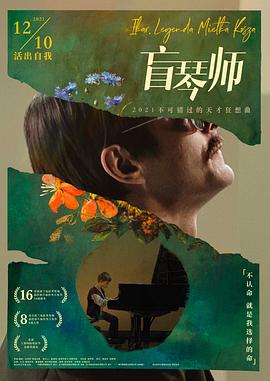 盲琴师全集