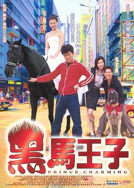 黑马王子全集