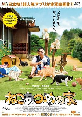 猫咪后院之家全集