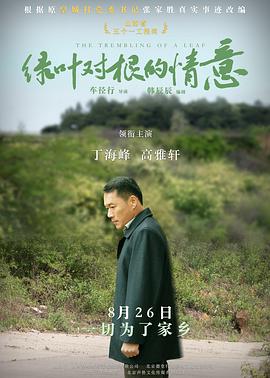 绿叶对根的情意全集