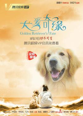 犬爱奇缘全集