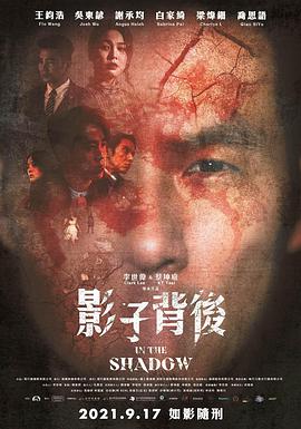 影子背后全集