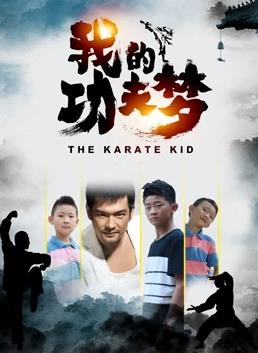 我的功夫梦全集