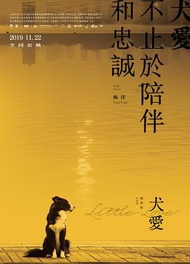 犬爱全集