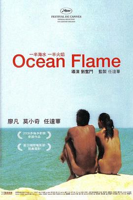 一半海水一半火焰全集