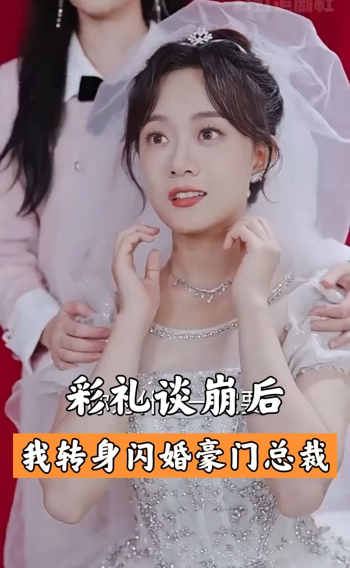 彩礼谈崩后我闪婚了豪门老公全集