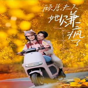 顾总夫人她赚疯了全集
