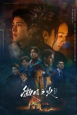 微暗之火全集