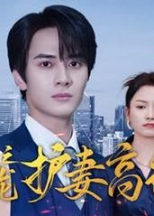 隐龙之护妻高手全集
