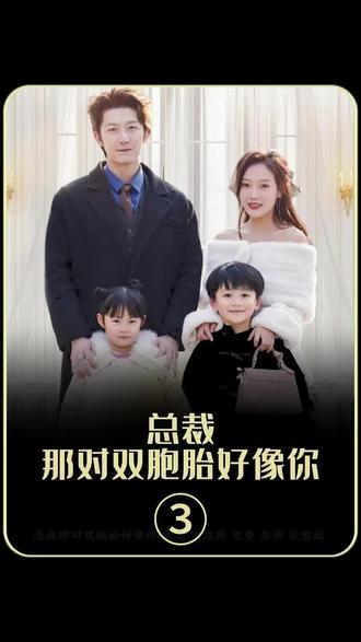 总裁，那对双胞胎好像你全集