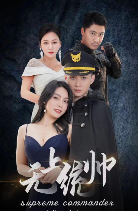 无上统帅全集