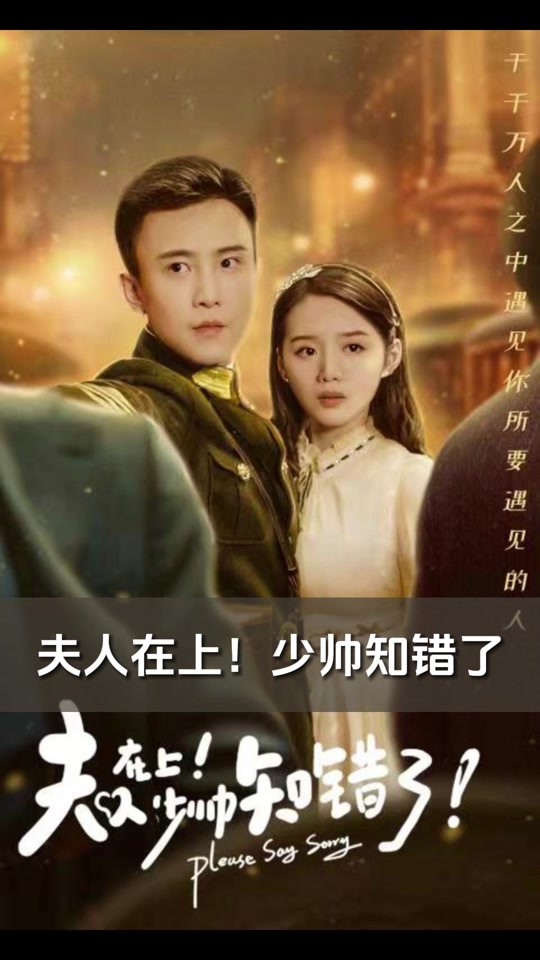 替身少帅全集