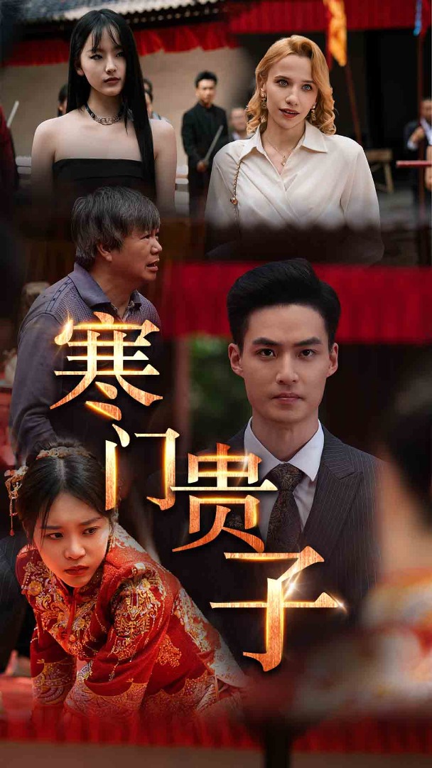 寒门贵子全集