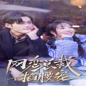 网恋总裁掐腰宠全集