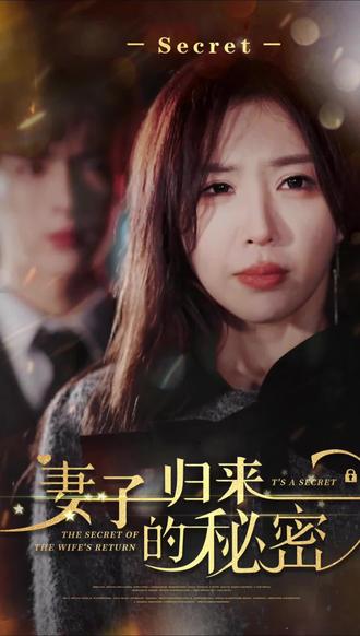 妻子归来的秘密全集