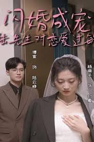 闪婚成宠，陆先生对恋爱过敏全集