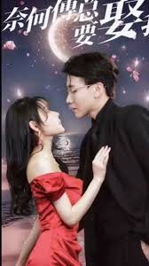 奈何傅总要娶我全集