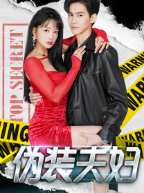 伪装夫妇全集