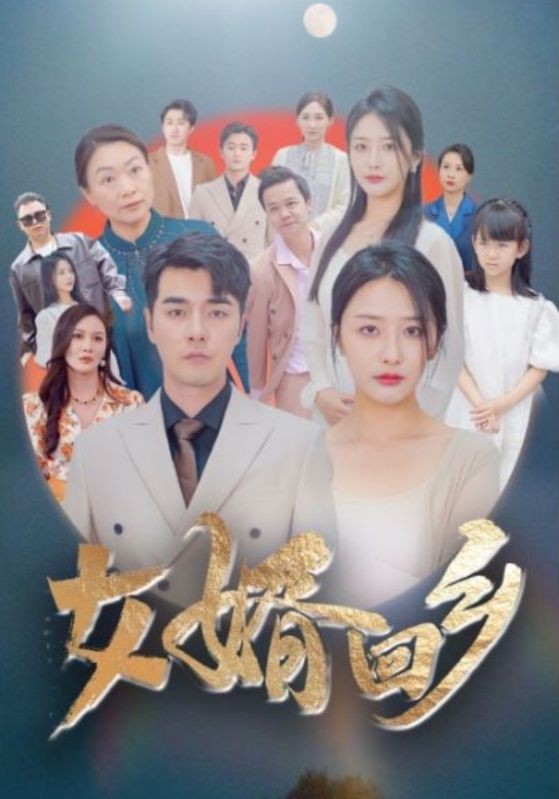 女婿回乡全集