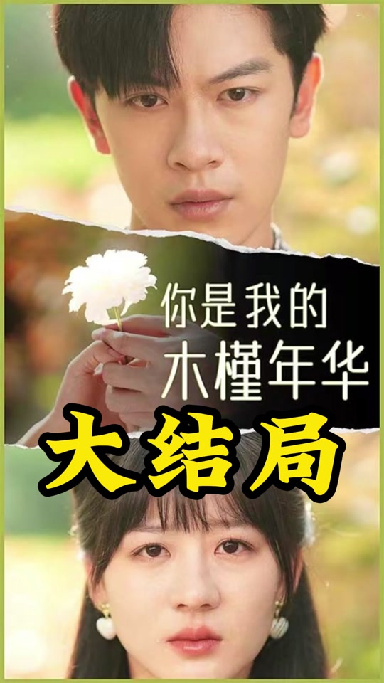 你是我的木槿年华全集