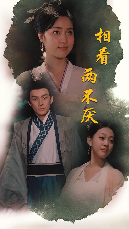 相看两不厌&这个王妃不好惹全集