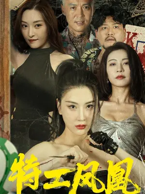 特工凤凰全集