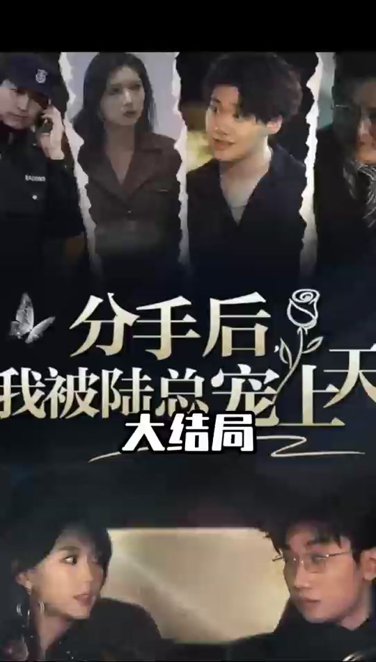 分手后，我被陆总宠上天全集