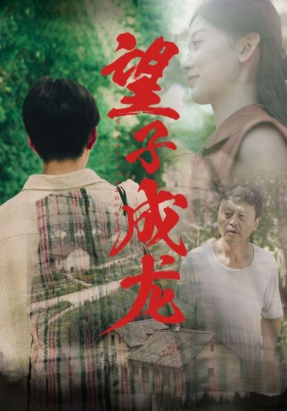 望子成龙全集