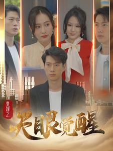 赘婿之天眼觉醒全集
