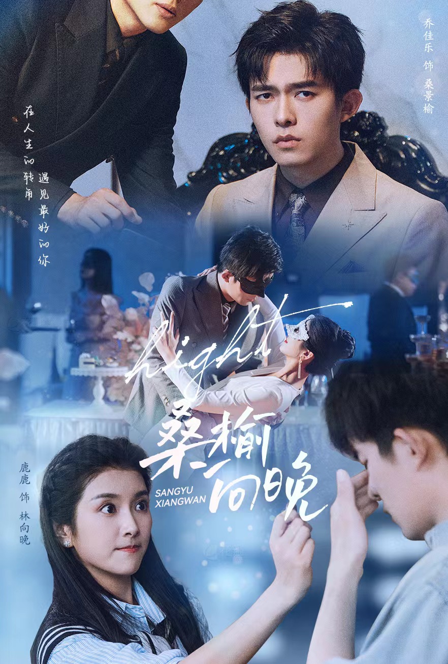 桑榆向晚全集