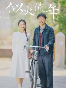 似火流年全集