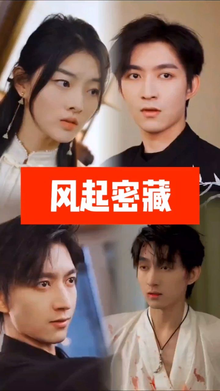 风起密藏全集