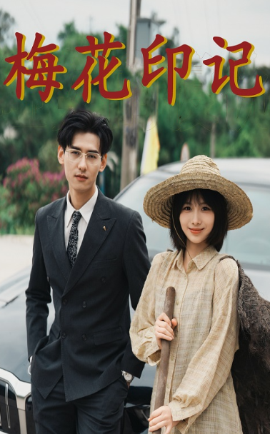梅花印记全集