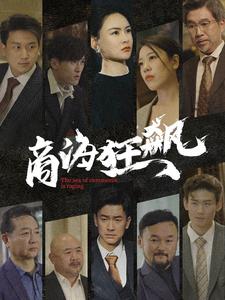 商海狂飙全集