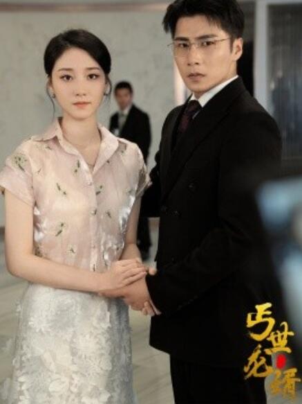 丐世龙婿全集