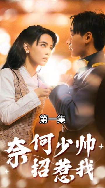 奈何少帅招惹我全集