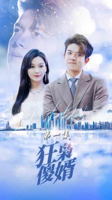 狂枭傻婿全集