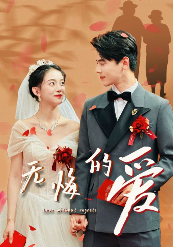 无悔的爱全集