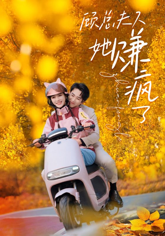 顾夫人她赚疯了全集