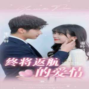 终将返航的爱情全集
