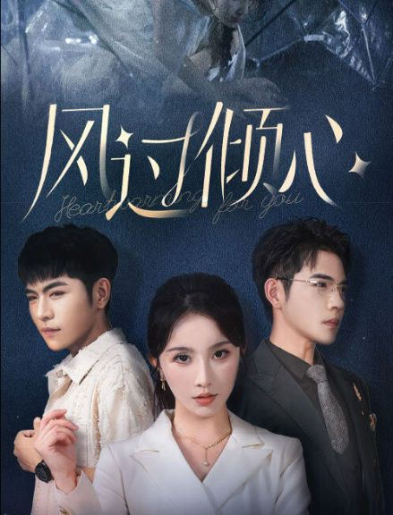 风过倾心全集
