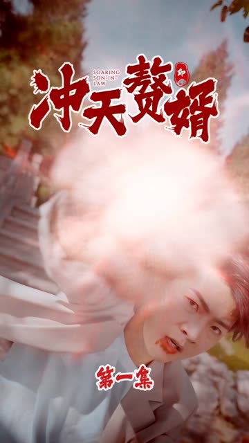 冲天赘婿全集