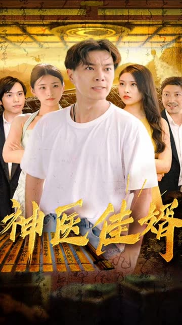 神医佳婿全集