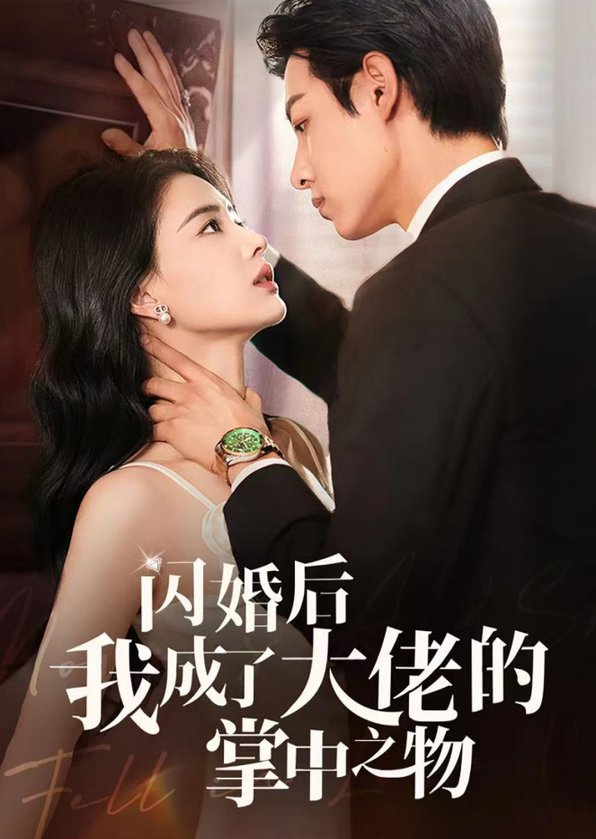 闪婚后我成了大佬的掌中之物全集