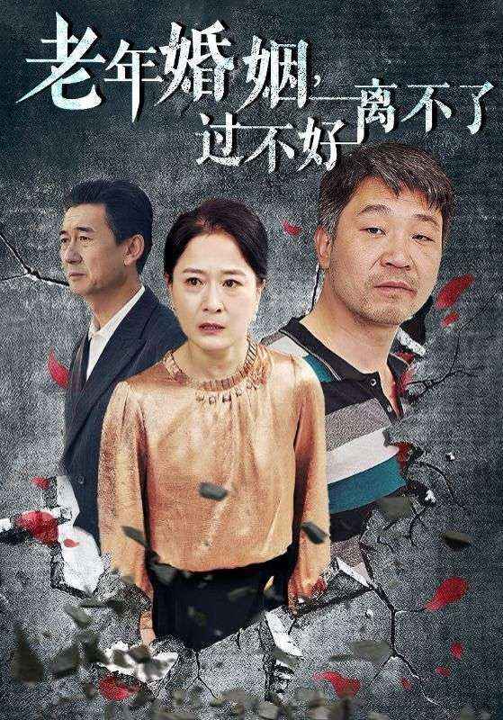 老年婚姻过不好离不了全集