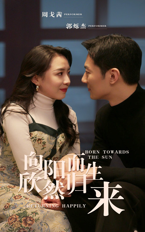 向阳而生 欣然归来全集