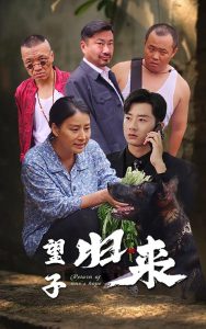 望子归来全集